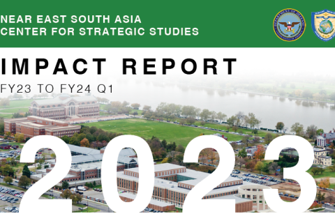 NESA-ImpactReport-2023-Graphic